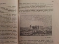 БИБЛИОГРАФСКА РЯДКОСТ: Елисавета Багряна и Калина Малина (1932 г.), снимка 5