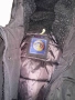 Зимно яке Superdry, снимка 6