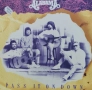 Грамофонна Плоча (Alabama - Pass It On Down), снимка 1