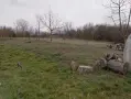 Къща в с. Смилец, снимка 2