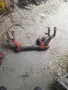 части за владимирец Т 25, снимка 6