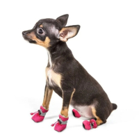 Обувки за кученце, снимка 3 - За кучета - 44807321