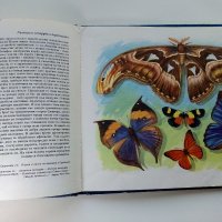 Чудеса на природата - З. Зорге, Х. Шрайер - 1971г. , снимка 7 - Детски книжки - 41855286