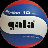 Волейболна топка GALA Pro Line - BV 5821 S  Професионална волейболна топка, изработена от синтетична
