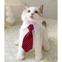 Раирана вратовръзка за домашен любимец 30 см., снимка 2 - За котки - 44481702