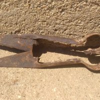 Стара кована ножица за стригане на овце, снимка 4 - Антикварни и старинни предмети - 41347797