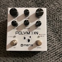 Meris Polymoon delay pedal, снимка 1 - Китари - 44500944