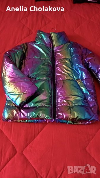 Яке Хамелион, снимка 1