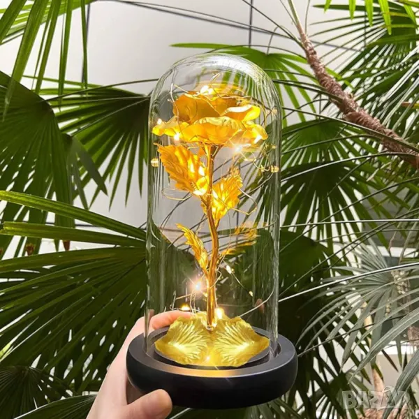 Вечна роза в стъкленица с LED светлина , снимка 1