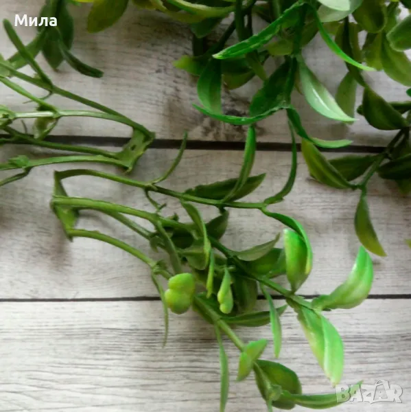 Стрък зеленина 9 см, 25 бр, снимка 1