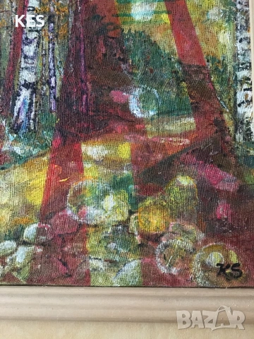 Витоша-Морените със слънчеви зайци, снимка 3 - Картини - 53129775