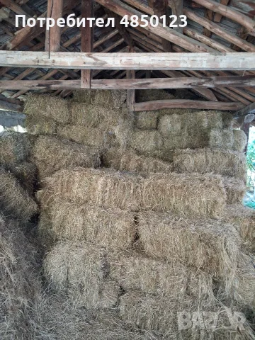 Продавам бали от сено, снимка 3 - За селскостопански - 55966408