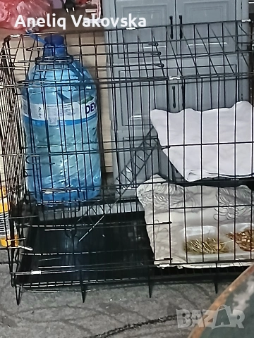 малка клетка за зайче 