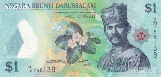 ❤️ ⭐ Бруней 2013 1 рингит полимер UNC нова ⭐ ❤️, снимка 2 - Нумизматика и бонистика - 53778137