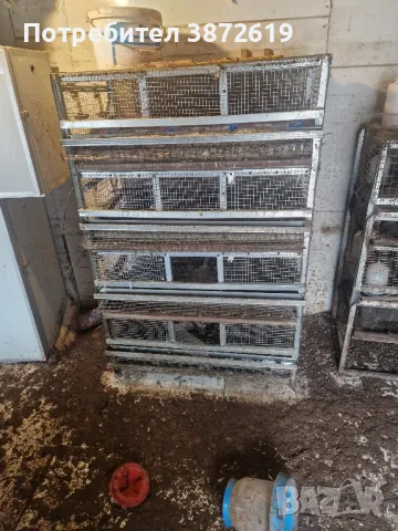 Клетки за пъдпъдъци, снимка 2 - За птици - 48926182