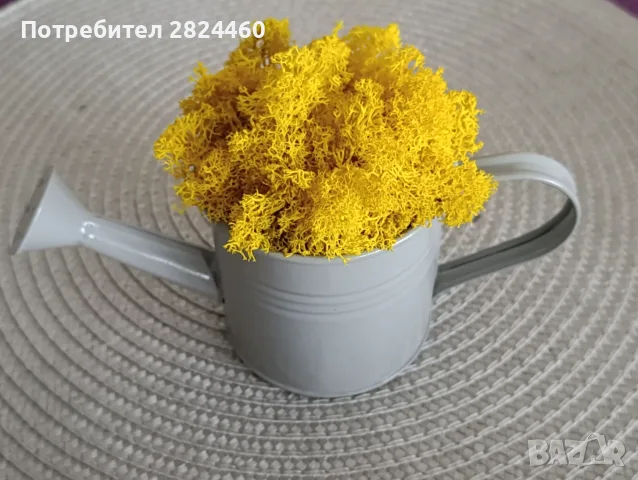 Декорация , подарък 15 септември, скандинавски мъх, снимка 2 - Декорация за дома - 55790786