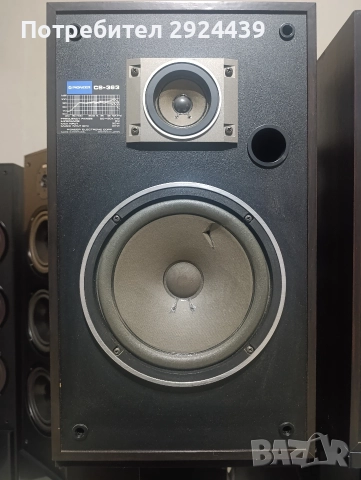PIONEER CS-363, снимка 2 - Тонколони - 52724896