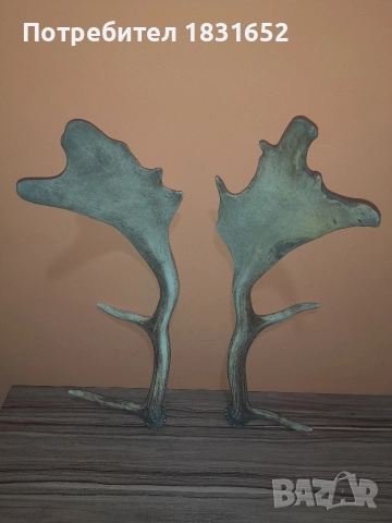 Рога от елен - Лопатар, снимка 6 - Други ценни предмети - 52829017