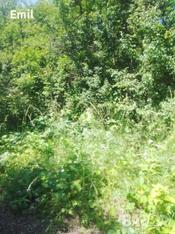 Незастроен парцел в с.Габра, снимка 3 - Парцели - 50706490