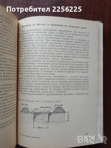 Практическо овощарство, снимка 8 - Специализирана литература - 50611699