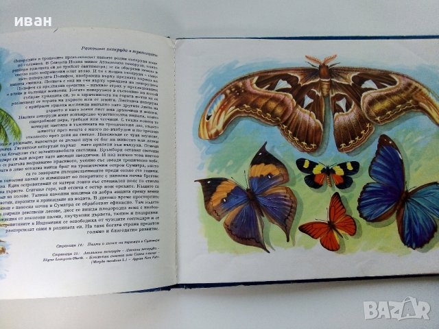 Чудеса на природата - З. Зорге, Х. Шрайер - 1971г. , снимка 7 - Детски книжки - 41855286