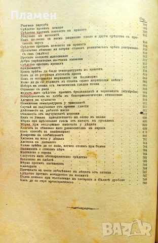 Здравие. Год. 1. Кн. 2-12 / 1902, снимка 5 - Антикварни и старинни предмети - 56325877