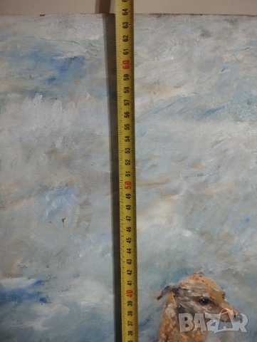 картина куче, снимка 4 - Картини - 44253040