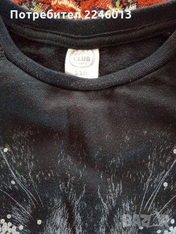 Зимна детска блузка с котенце, снимка 3 - Детски Блузи и туники - 34375618