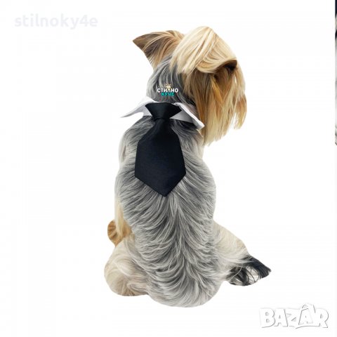 Вратовръзка за дребни, средни и едри породи кучета Кучешки вратовръзки Кучешка вратовръзка/папийонка, снимка 3 - За кучета - 29407299