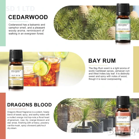 Етерични масла Euqee Men's Pubs 6 х 10 мл мъжки аромати ароматерапия за Дифузери козметика сапуни, снимка 5 - Други - 51350892