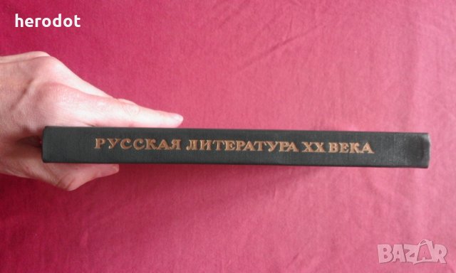 Русская литература XX века. Дооктябрьский период, снимка 2 - Художествена литература - 34249405