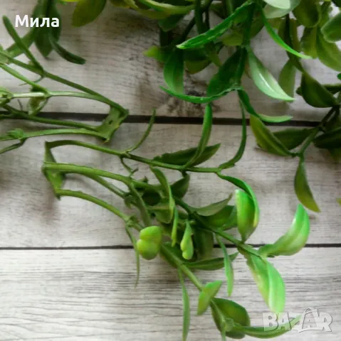 Стрък зеленина 9 см, 25 бр