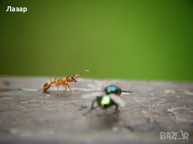 Фотоапарат Sony DSC-HX350, снимка 11 - Фотоапарати - 52638431