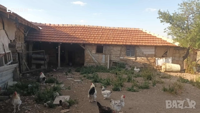 Къща в с Глашатай, Община Антоново, снимка 10 - Къщи - 52344245