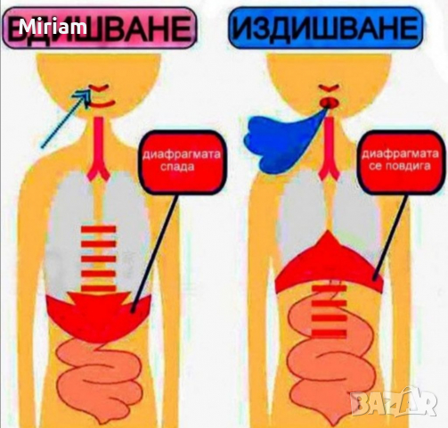 Портативен фитнес уред за отслабване с помощта на правилно коремно дишане, снимка 4 - Фитнес уреди - 36387223