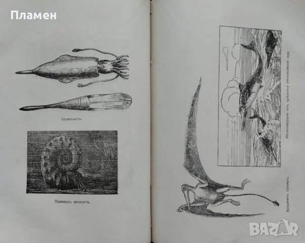 Кратка история на света. Часть 1-2 Хърбъртъ Уелсъ, снимка 5 - Антикварни и старинни предмети - 42535629