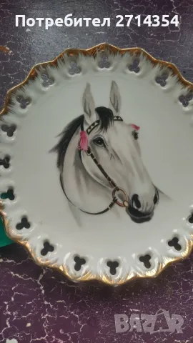 Порцеланова чиния декорация , снимка 4 - Декорация за дома - 49998859