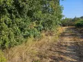 парцел местност  Боровец - юг, снимка 2