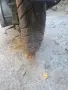 Kymco People 49, снимка 3