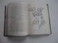 Книга Етерично маслени и медицински култури Стайков , снимка 7