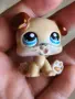 Littlest pet shop, rare dogs, снимка 11