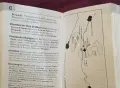 Collins Gem Wine Dictionary, снимка 3