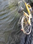 Велосипед-Електрически, снимка 7