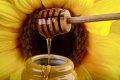 Пчелен мед - Слънчоглед