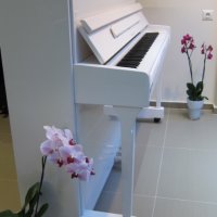 Ново бяло пиано SAMICK UP 115 с 5 г. гаранция - магазин Мелодия, снимка 5 - Пиана - 38955557