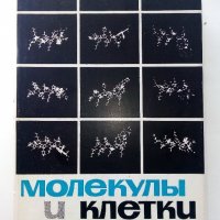 Молекулы и клетки - Сборник - 1968г.  , снимка 1 - Специализирана литература - 39010799