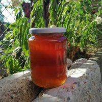 Натурален пчелен мед, снимка 1 - Пчелни продукти - 41944611