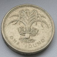 One Pound Elizabeth II 1990, снимка 6 - Нумизматика и бонистика - 44472556