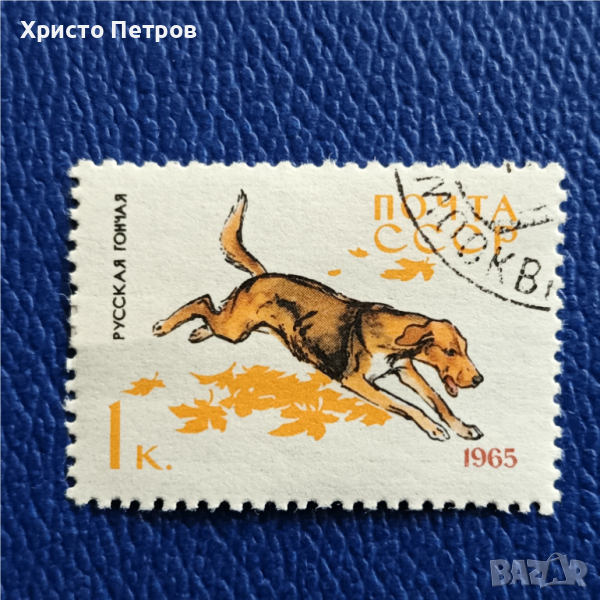 СССР 1965 - КУЧЕТА, РУСКО ГОНЧЕ, снимка 1