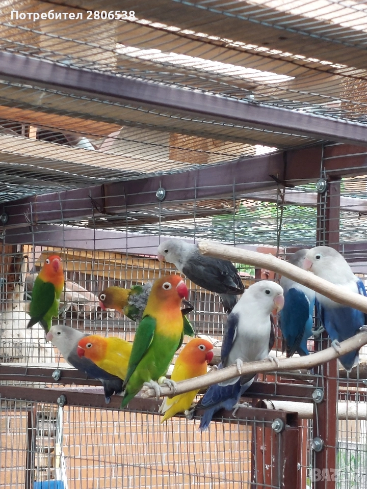 Неразделки , снимка 1